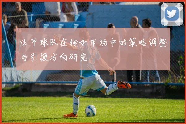 法甲球队在转会市场中的策略调整与引援方向研究