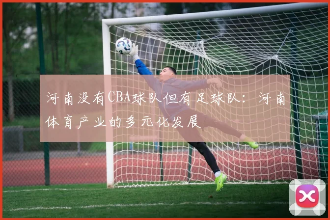 河南没有CBA球队但有足球队:河南体育产业的多元化发展